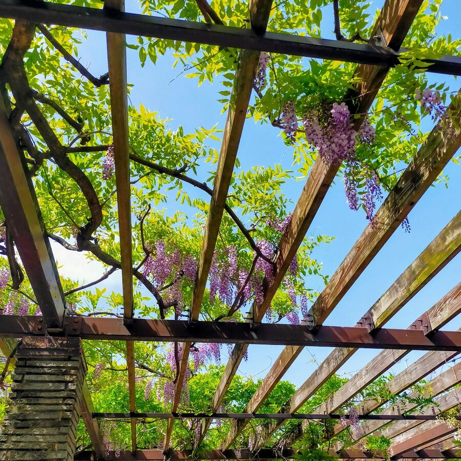 Carport aus Holz im Garten
